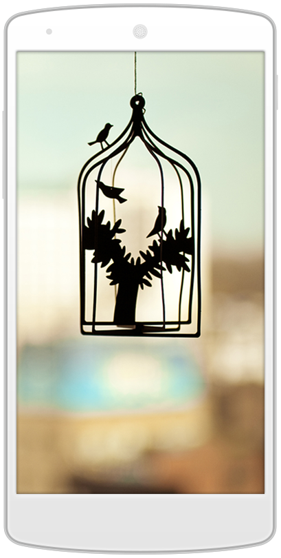 android phone with photo of a bird in cage on screen